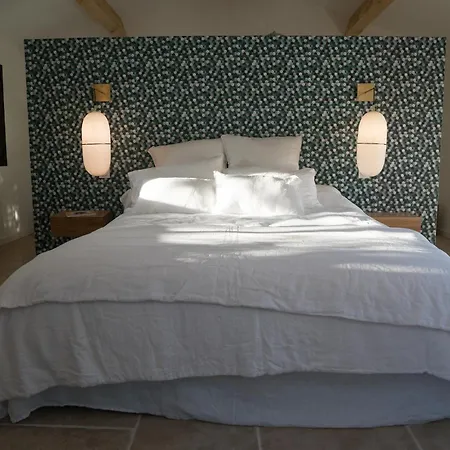 Mas Des Vignes Montpellier