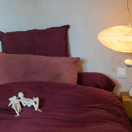 Mas Des Vignes Montpellier